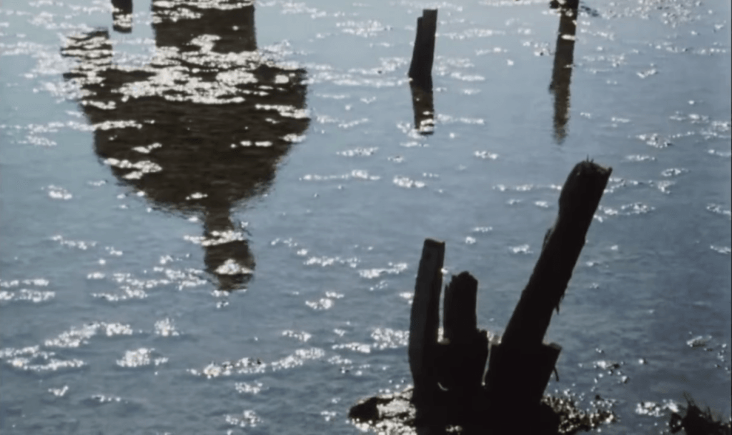 on “Junkopia” and other sanctuaries